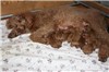 Born 4/14/2011