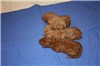 Boys - 1 week old
